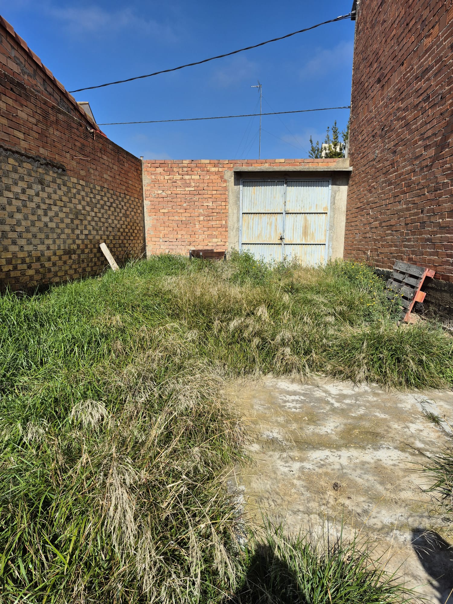 Imagen de WhatsApp 2025-09-17 a las 17.31.52_36cfd639